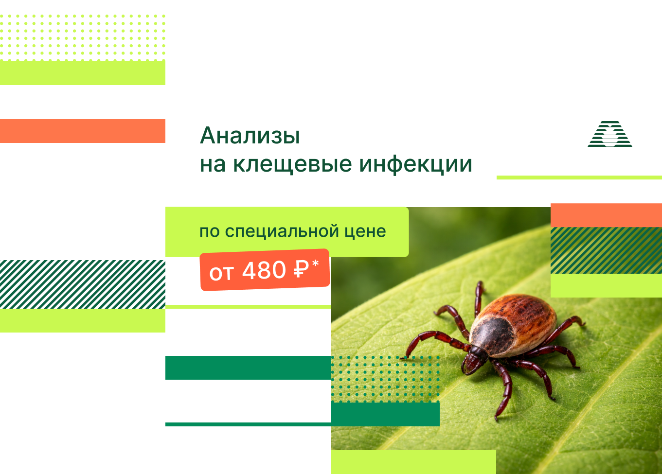 <b>Скидка на диагностику!</b>