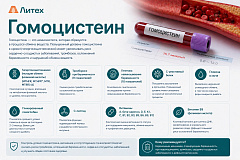 Гомоцистеин